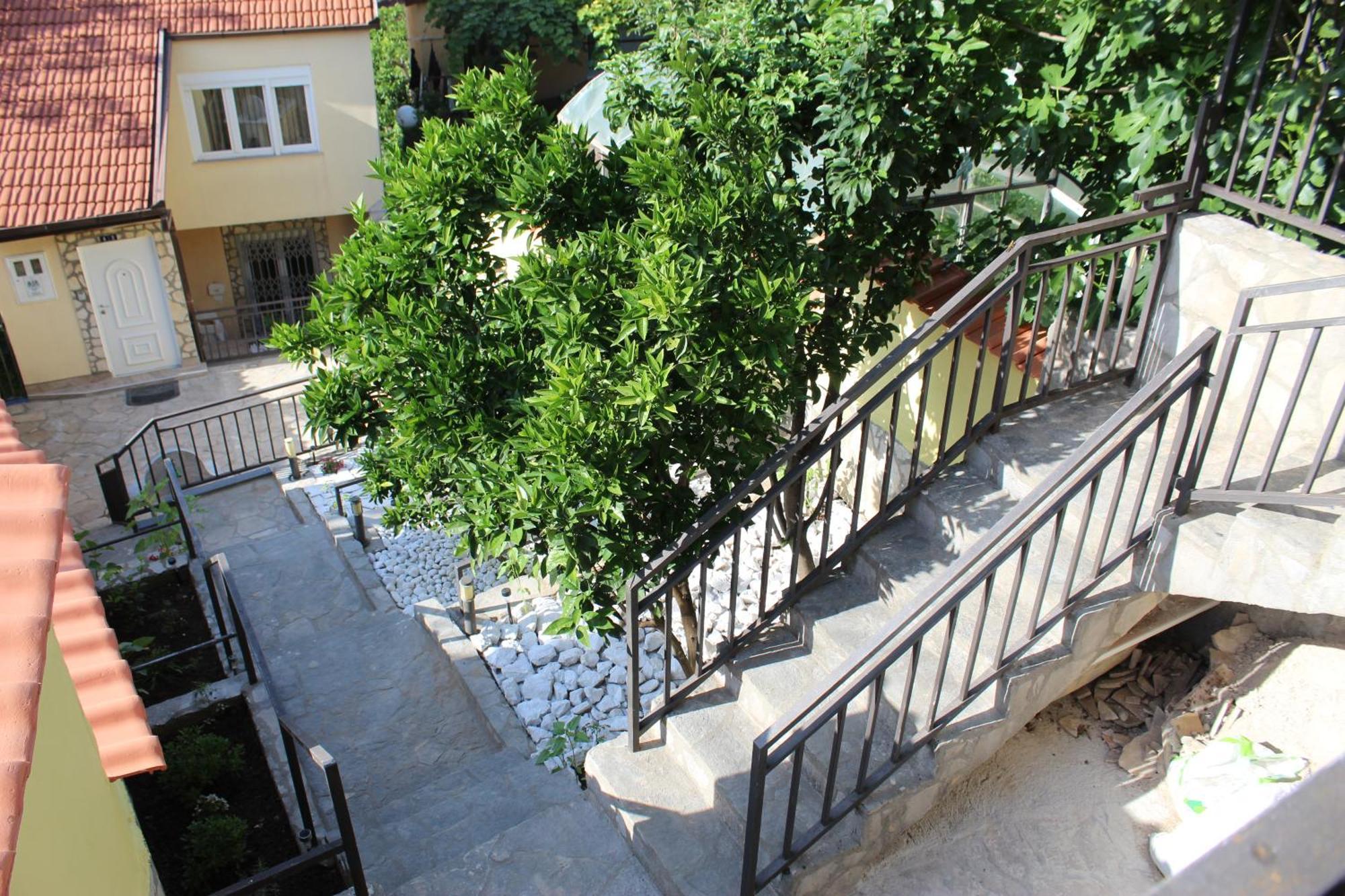 House موستار
